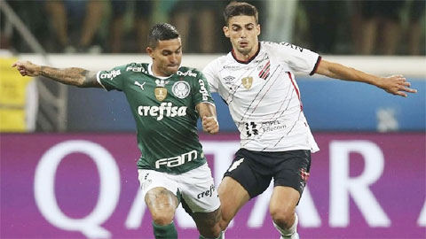 soi kèo Paranaense cùng Palmeiras